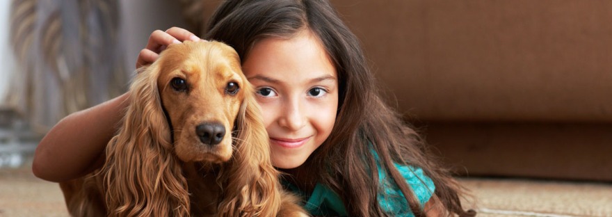 menina-com-cachorro-de-estimação-animais-de-estimação-direitos-e-deveres-dos-condôminos